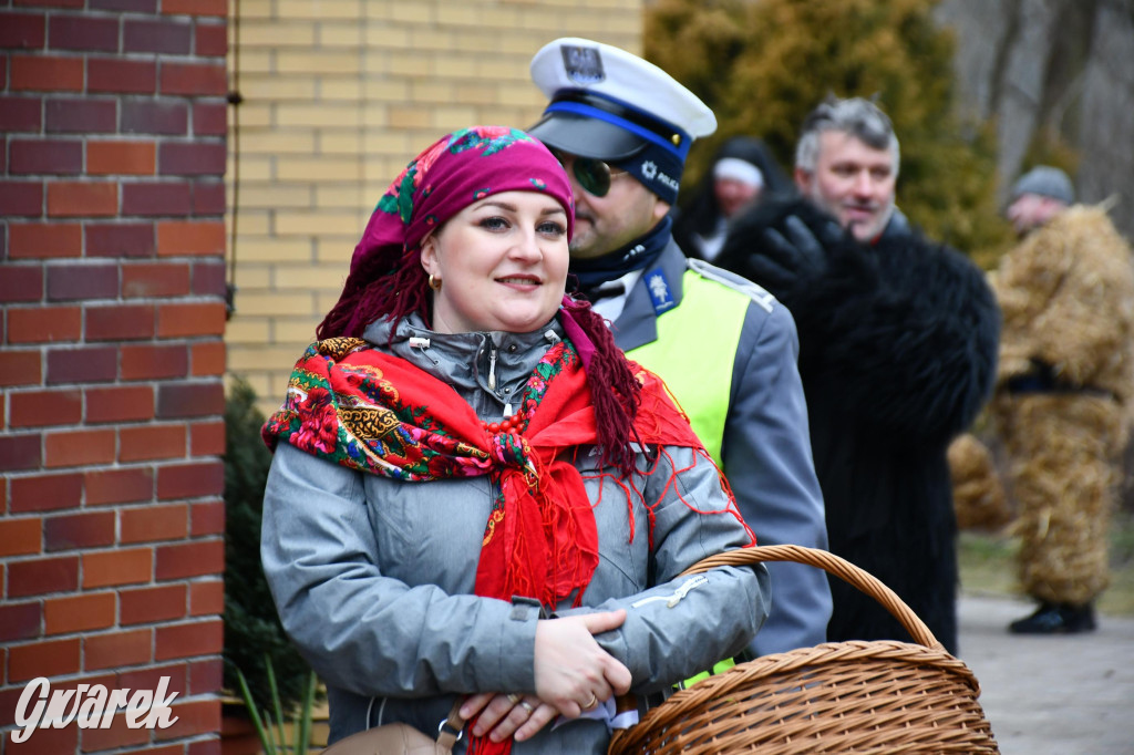 Z berem przez Miedary. Wodzenie niedźwiedzia 2026
