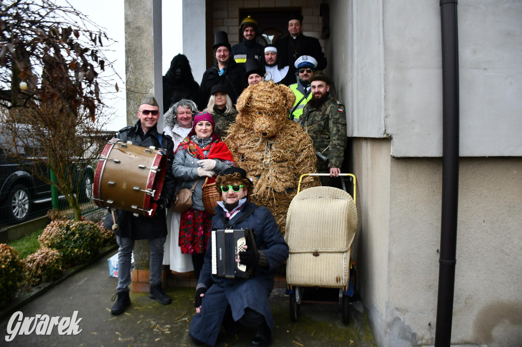 Z berem przez Miedary. Wodzenie niedźwiedzia 2026