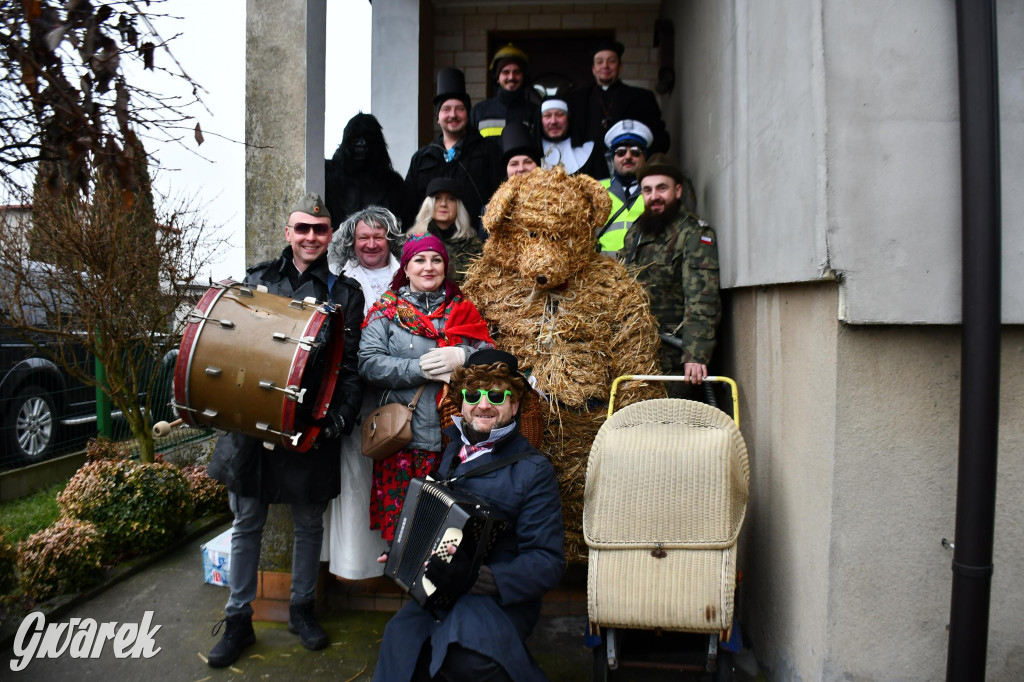 Z berem przez Miedary. Wodzenie niedźwiedzia 2026