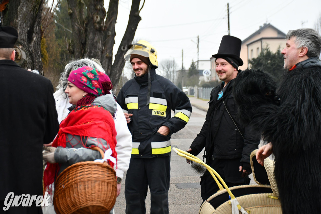 Z berem przez Miedary. Wodzenie niedźwiedzia 2026
