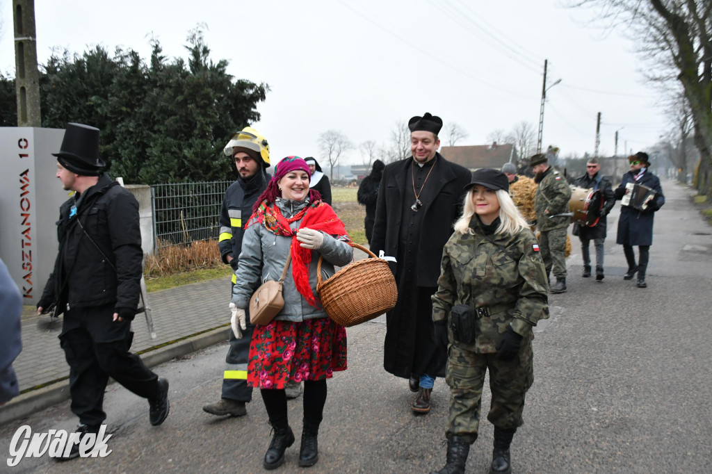Z berem przez Miedary. Wodzenie niedźwiedzia 2026