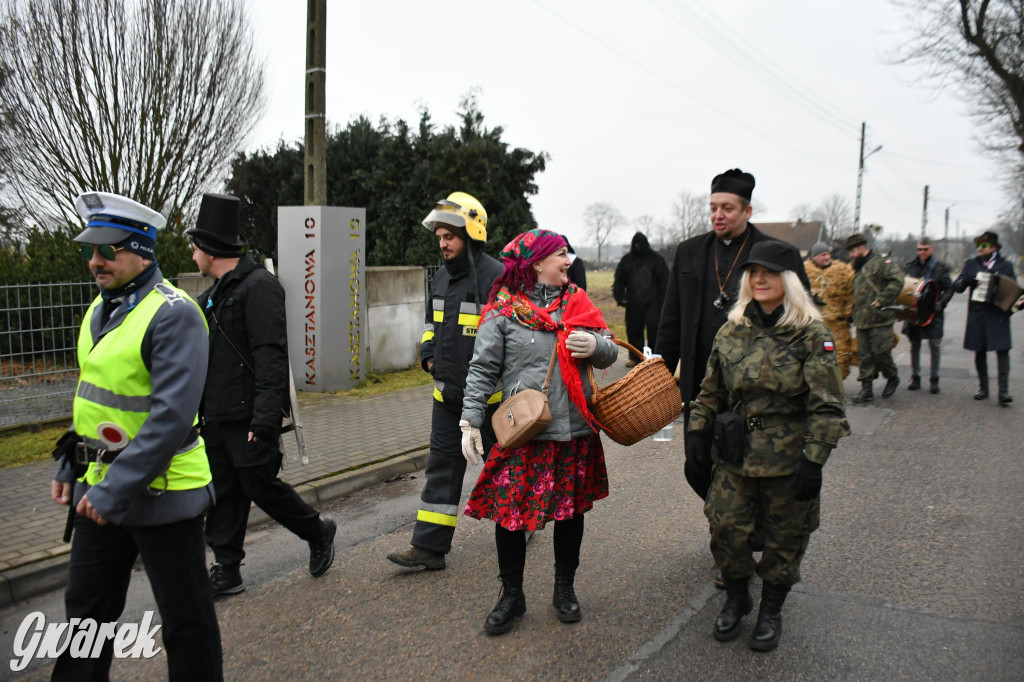 Z berem przez Miedary. Wodzenie niedźwiedzia 2026