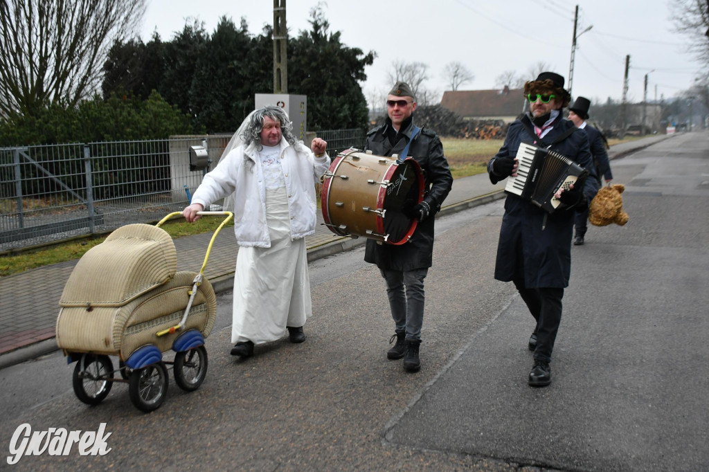 Z berem przez Miedary. Wodzenie niedźwiedzia 2026