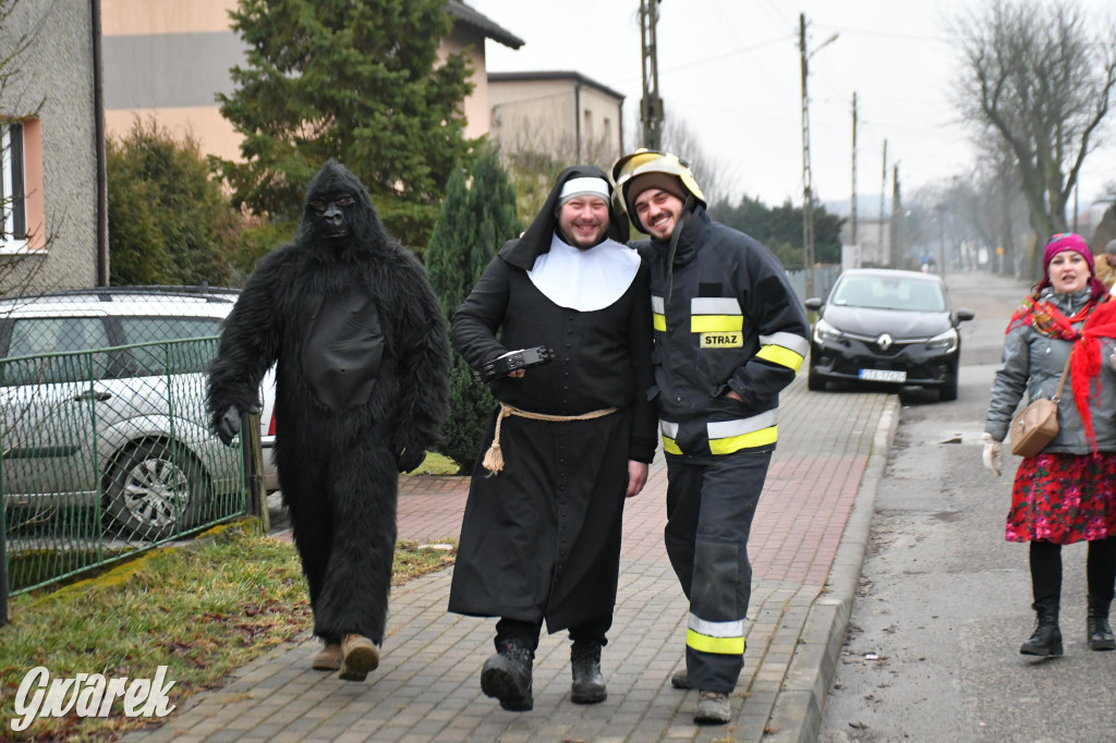 Z berem przez Miedary. Wodzenie niedźwiedzia 2026