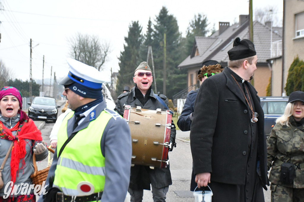 Z berem przez Miedary. Wodzenie niedźwiedzia 2026