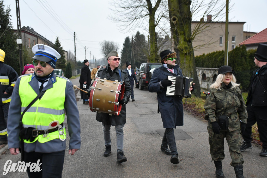 Z berem przez Miedary. Wodzenie niedźwiedzia 2026