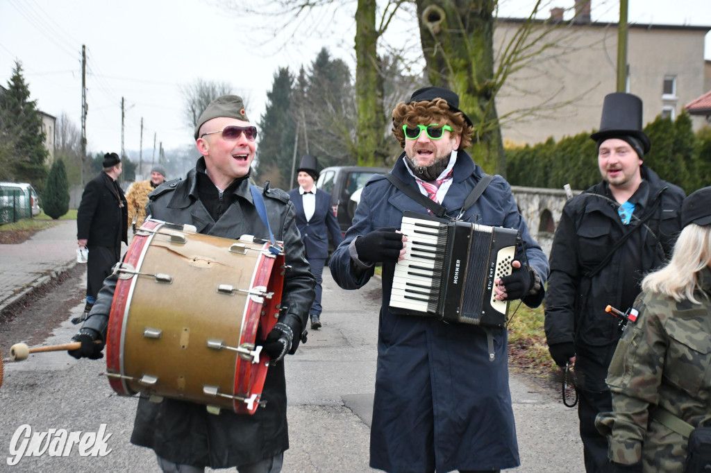 Z berem przez Miedary. Wodzenie niedźwiedzia 2026