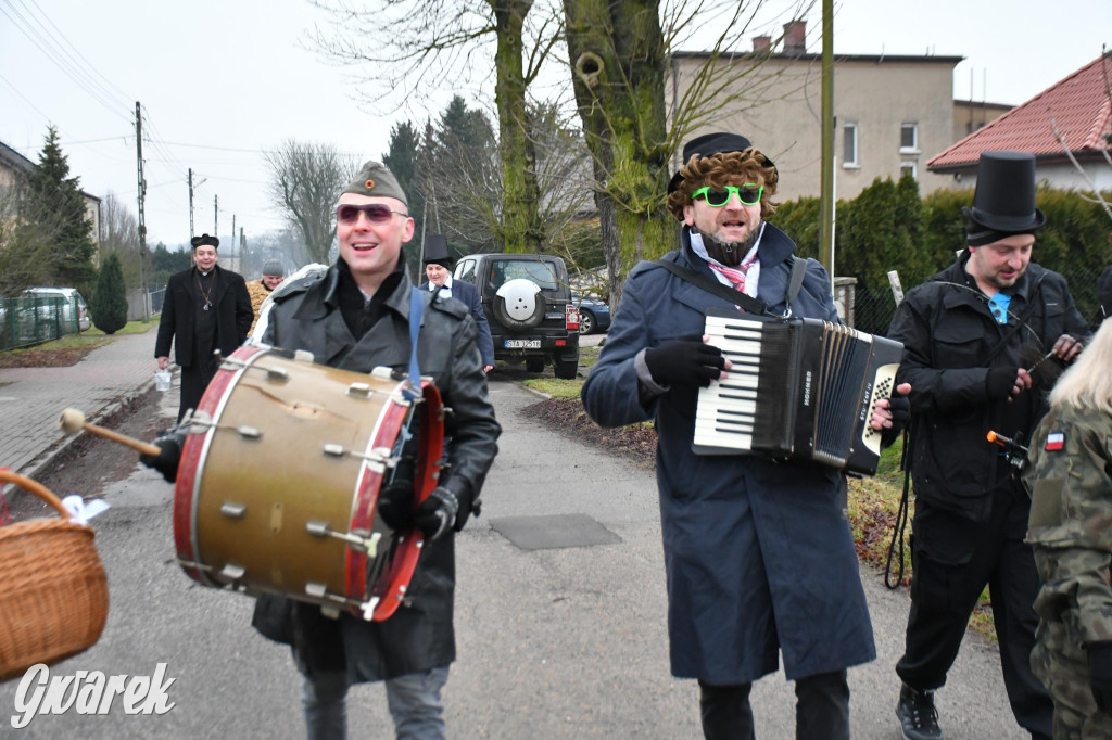 Z berem przez Miedary. Wodzenie niedźwiedzia 2026
