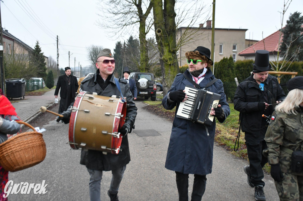 Z berem przez Miedary. Wodzenie niedźwiedzia 2026
