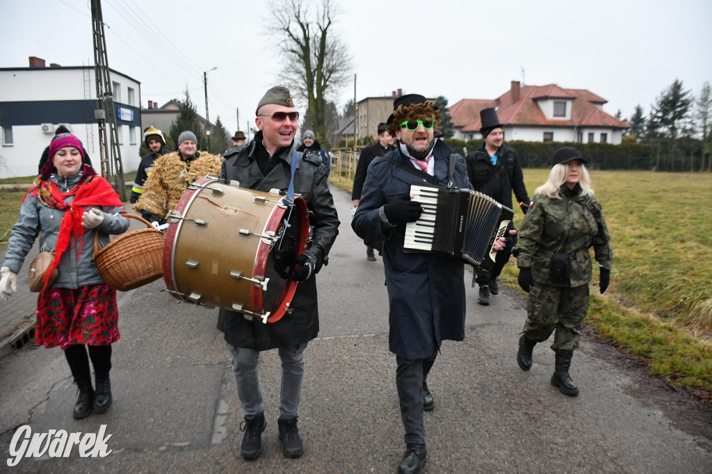 Z berem przez Miedary. Wodzenie niedźwiedzia 2026