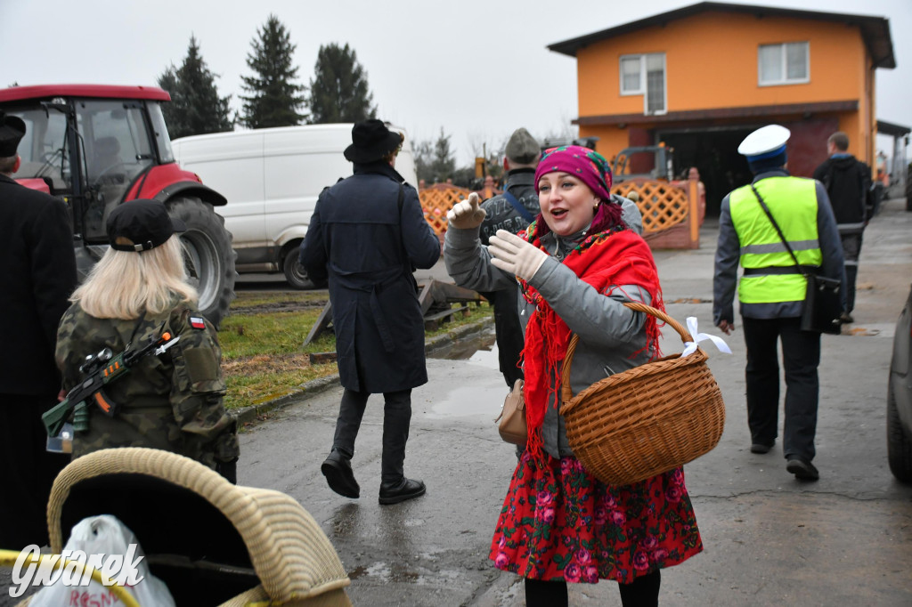 Z berem przez Miedary. Wodzenie niedźwiedzia 2026
