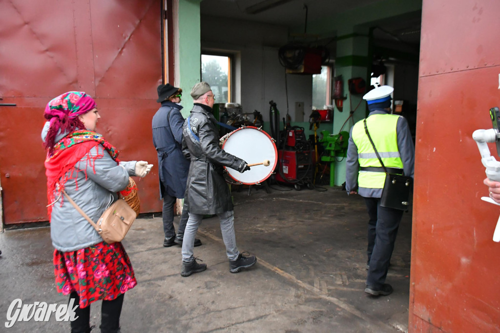 Z berem przez Miedary. Wodzenie niedźwiedzia 2026