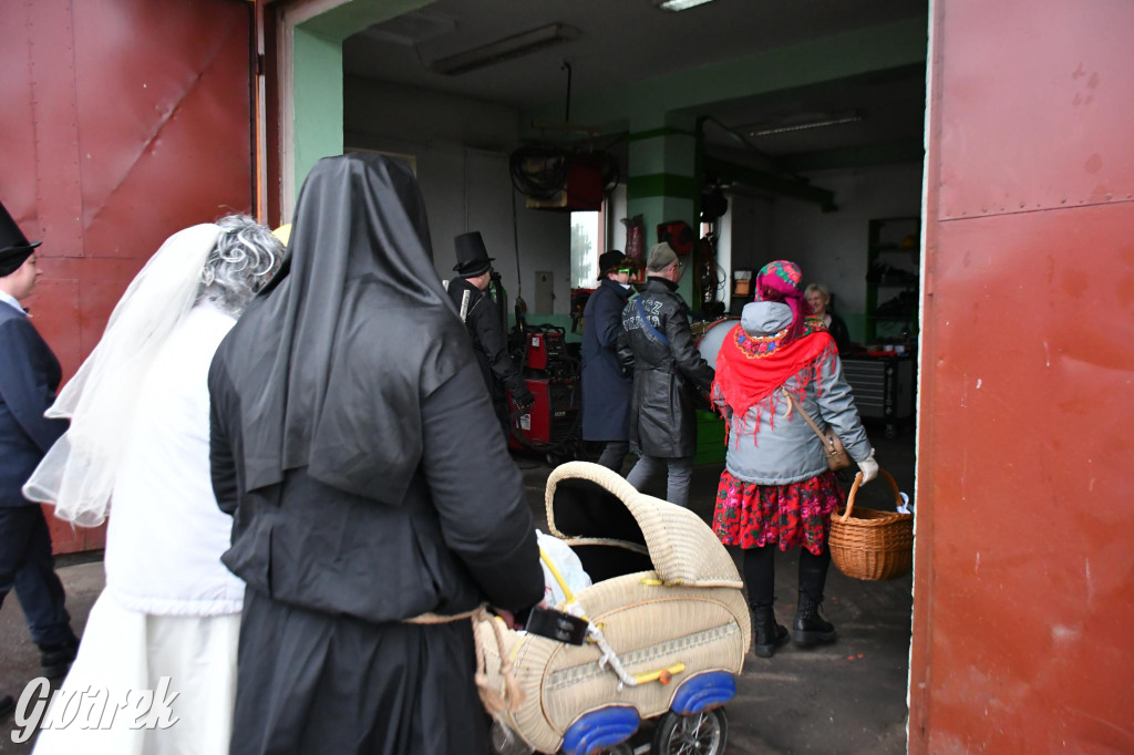 Z berem przez Miedary. Wodzenie niedźwiedzia 2026