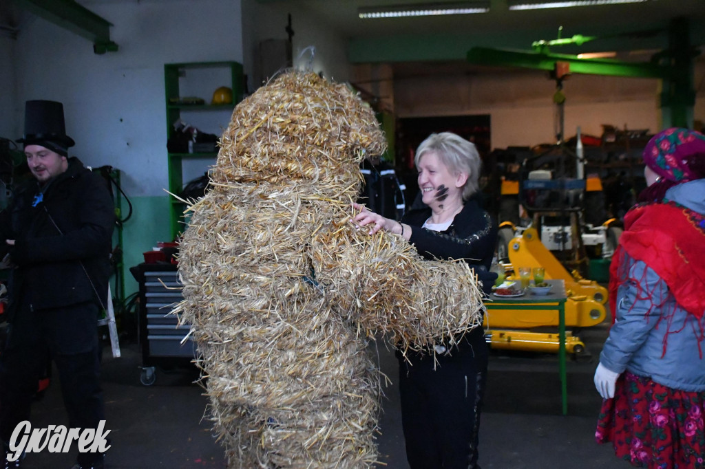 Z berem przez Miedary. Wodzenie niedźwiedzia 2026
