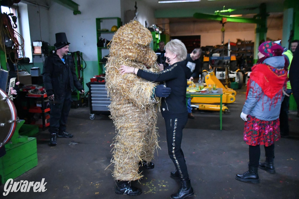 Z berem przez Miedary. Wodzenie niedźwiedzia 2026