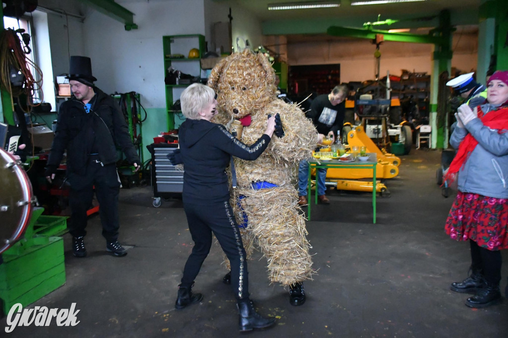 Z berem przez Miedary. Wodzenie niedźwiedzia 2026