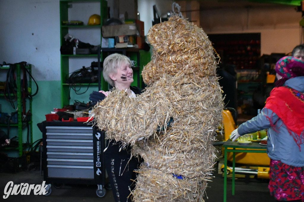 Z berem przez Miedary. Wodzenie niedźwiedzia 2026
