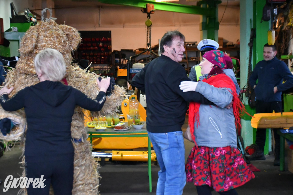 Z berem przez Miedary. Wodzenie niedźwiedzia 2026