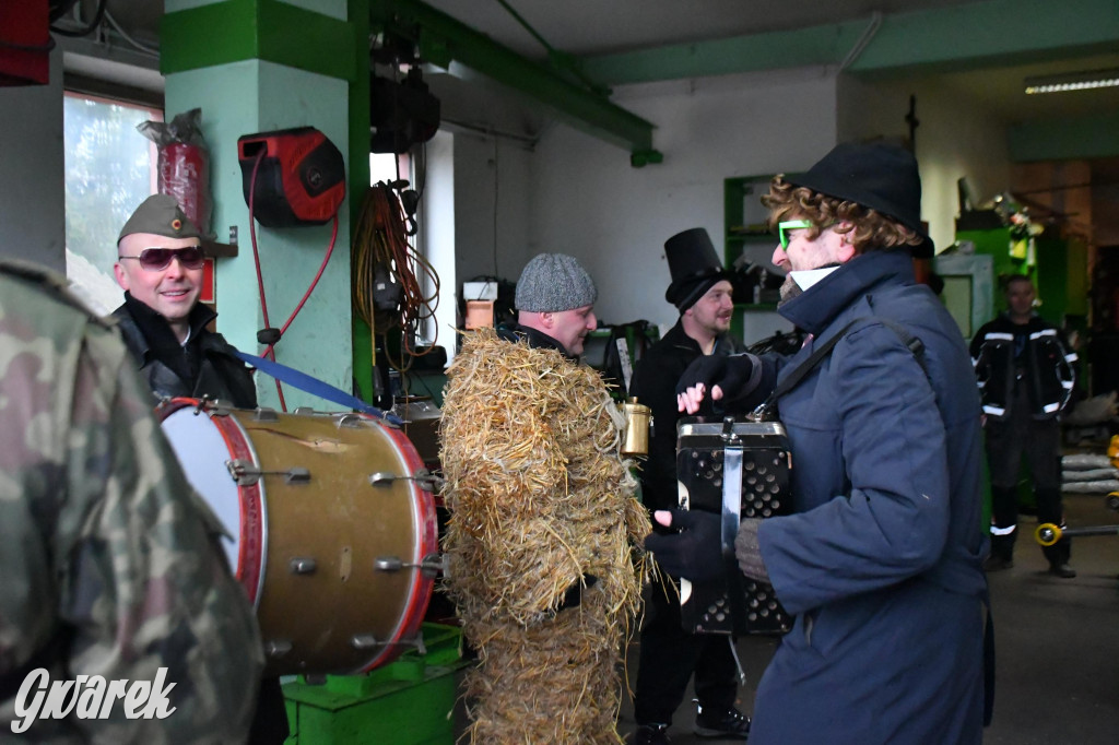 Z berem przez Miedary. Wodzenie niedźwiedzia 2026