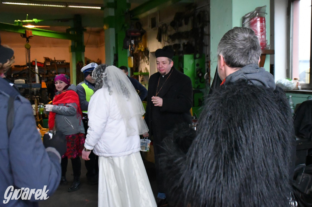 Z berem przez Miedary. Wodzenie niedźwiedzia 2026