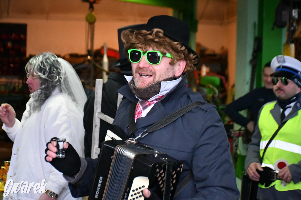 Z berem przez Miedary. Wodzenie niedźwiedzia 2026