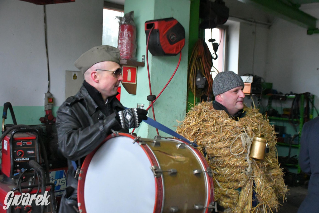 Z berem przez Miedary. Wodzenie niedźwiedzia 2026