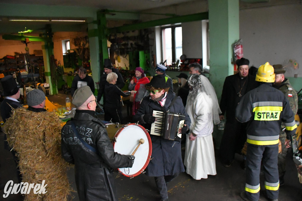 Z berem przez Miedary. Wodzenie niedźwiedzia 2026
