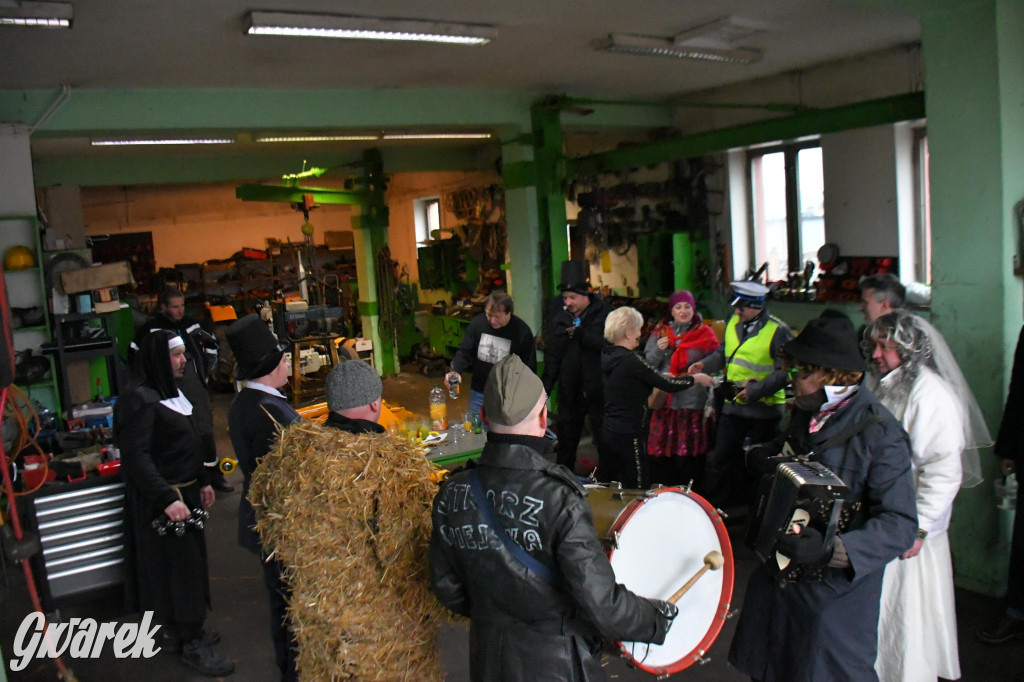 Z berem przez Miedary. Wodzenie niedźwiedzia 2026