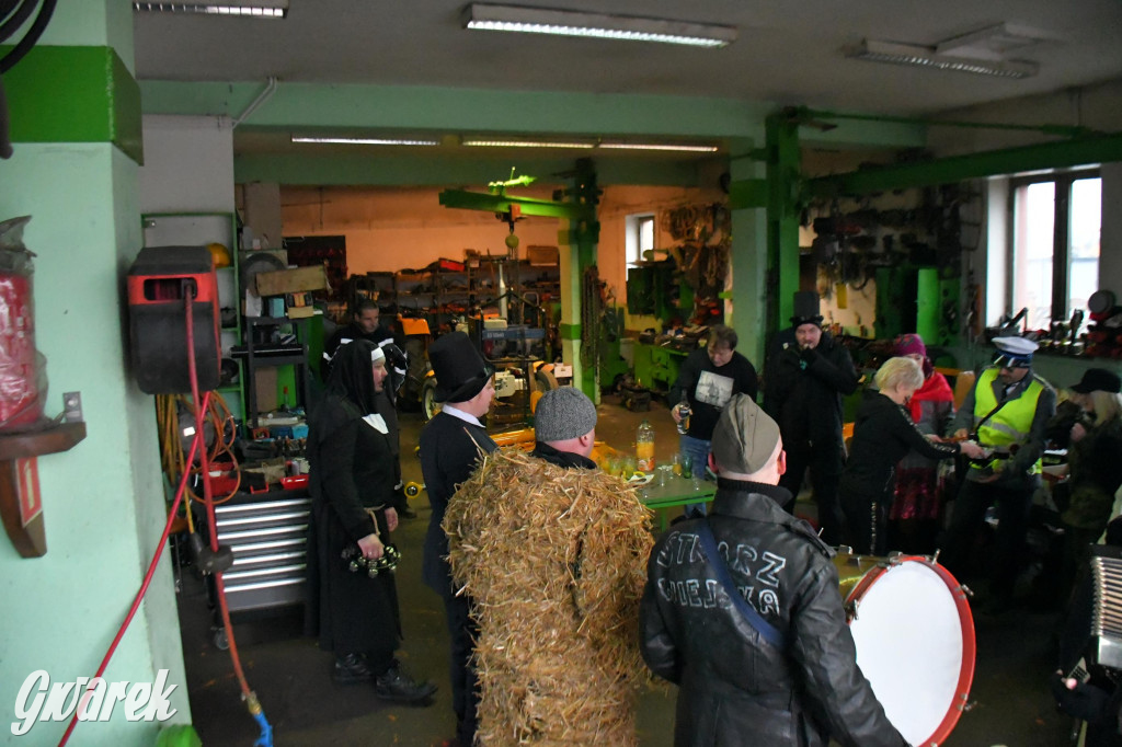 Z berem przez Miedary. Wodzenie niedźwiedzia 2026