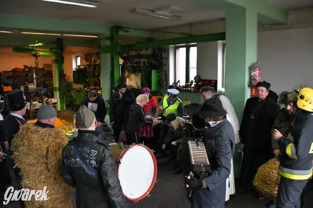 Z berem przez Miedary. Wodzenie niedźwiedzia 2026