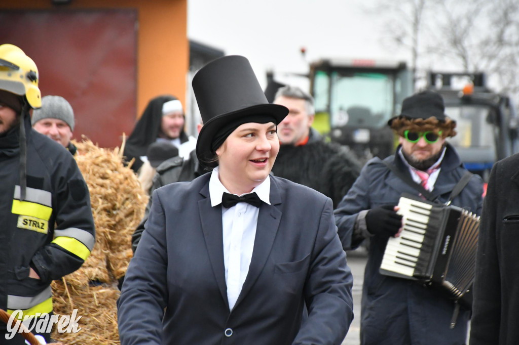 Z berem przez Miedary. Wodzenie niedźwiedzia 2026