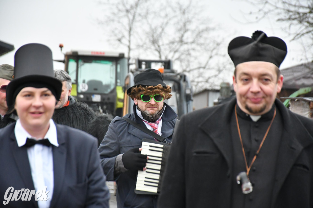 Z berem przez Miedary. Wodzenie niedźwiedzia 2026