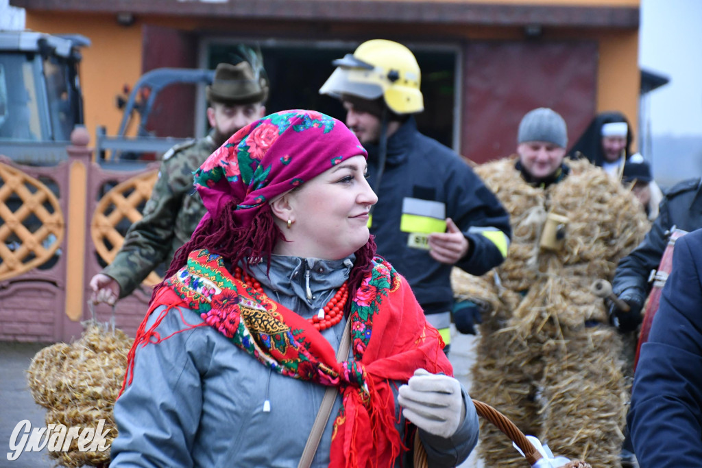 Z berem przez Miedary. Wodzenie niedźwiedzia 2026