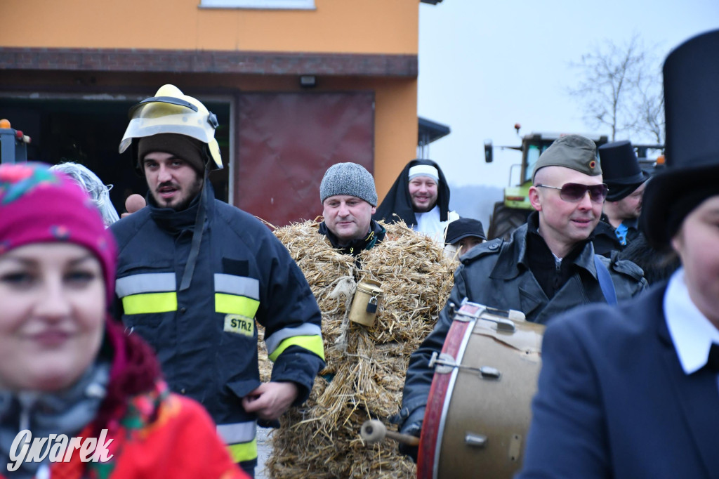 Z berem przez Miedary. Wodzenie niedźwiedzia 2026