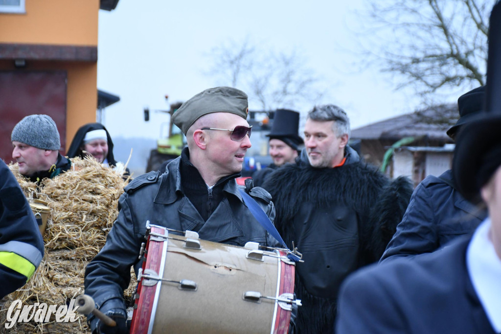 Z berem przez Miedary. Wodzenie niedźwiedzia 2026