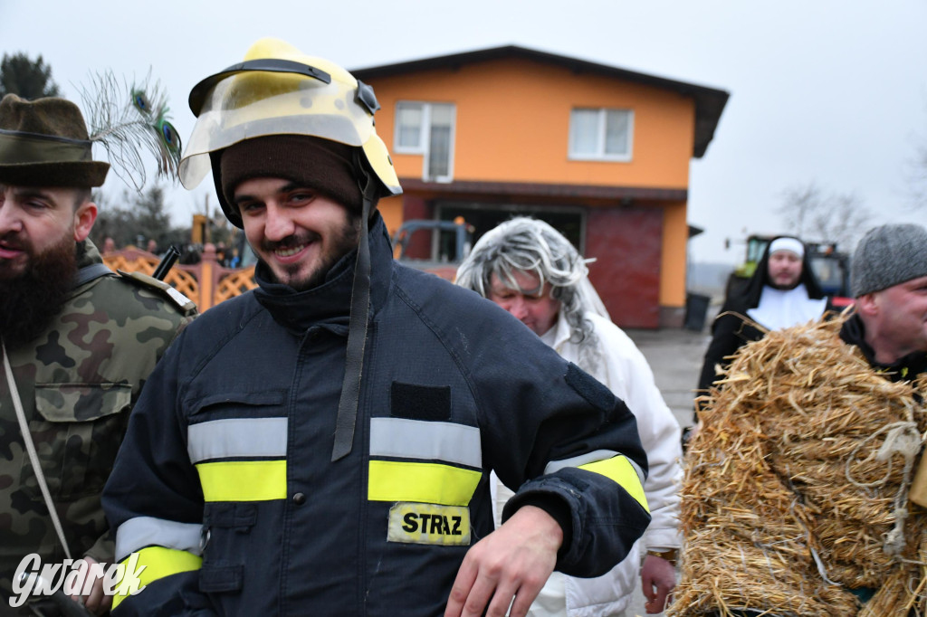 Z berem przez Miedary. Wodzenie niedźwiedzia 2026