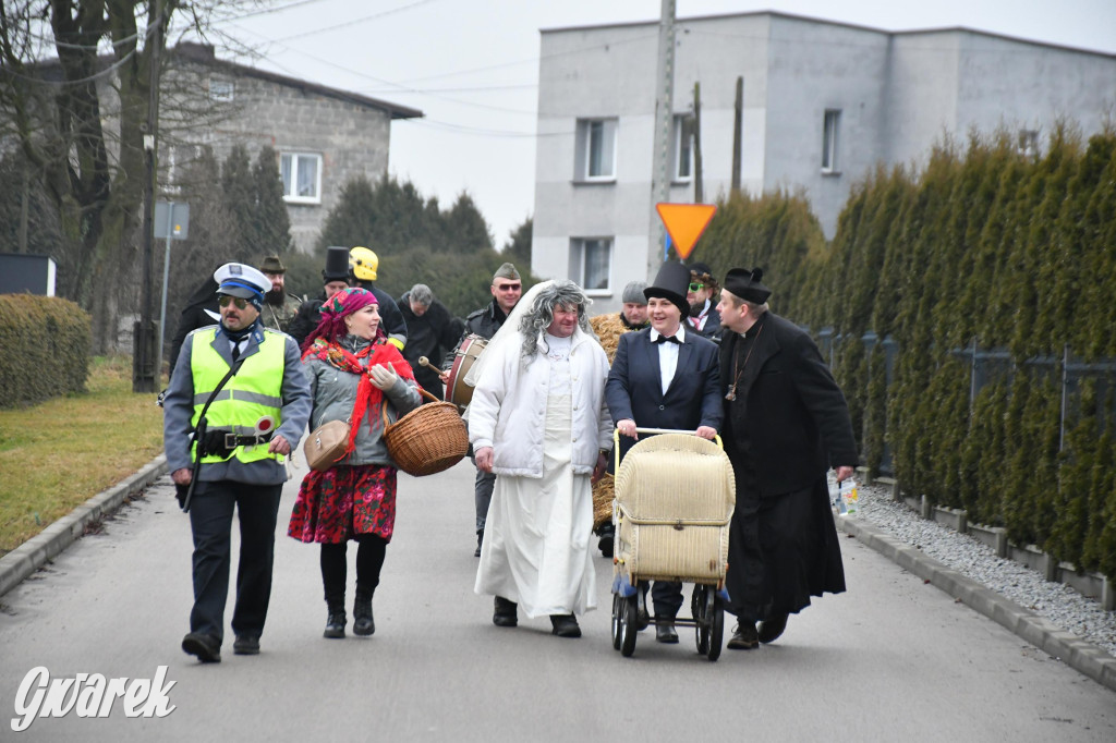 Z berem przez Miedary. Wodzenie niedźwiedzia 2026