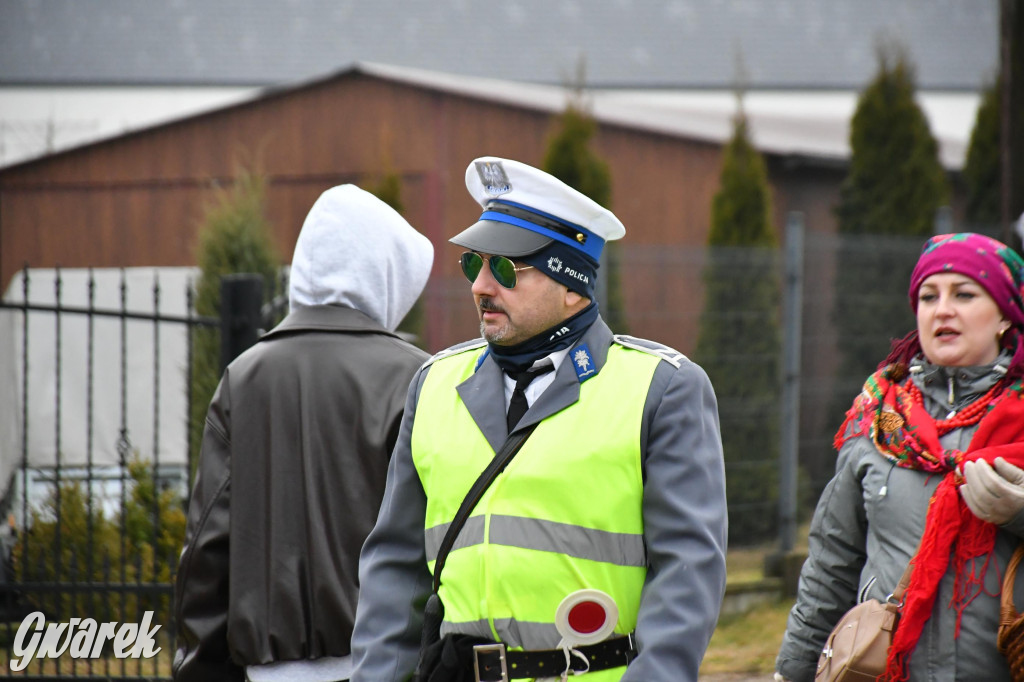 Z berem przez Miedary. Wodzenie niedźwiedzia 2026