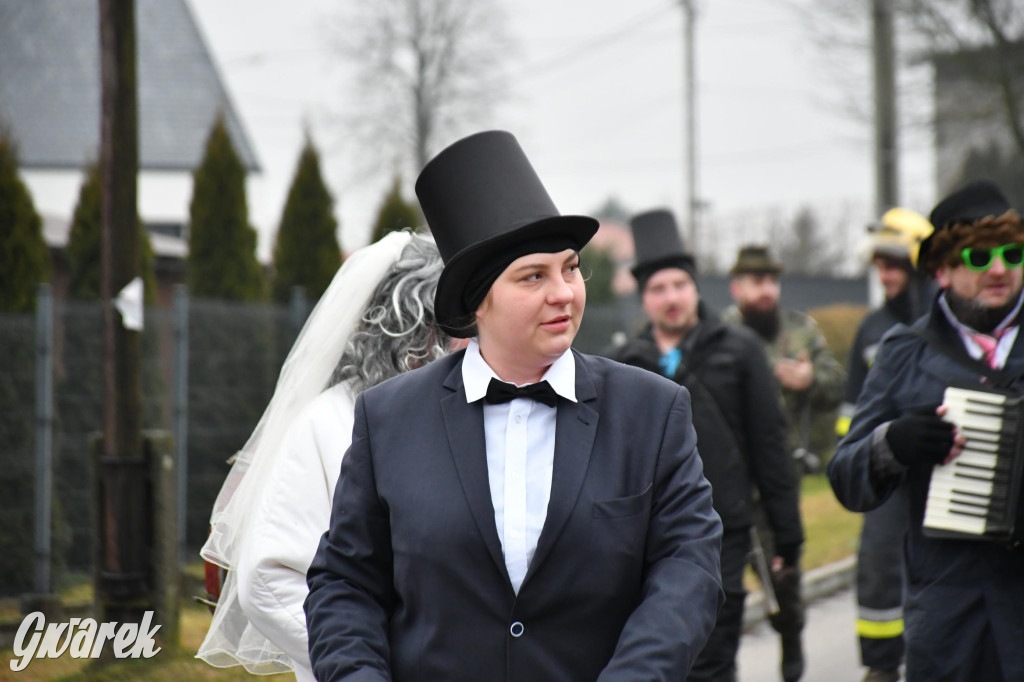 Z berem przez Miedary. Wodzenie niedźwiedzia 2026