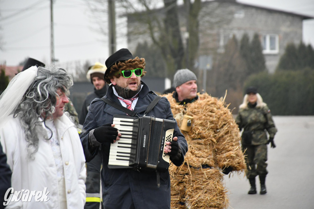 Z berem przez Miedary. Wodzenie niedźwiedzia 2026