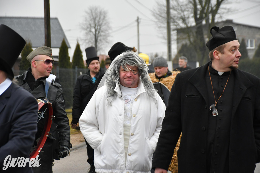 Z berem przez Miedary. Wodzenie niedźwiedzia 2026