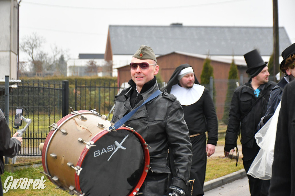 Z berem przez Miedary. Wodzenie niedźwiedzia 2026