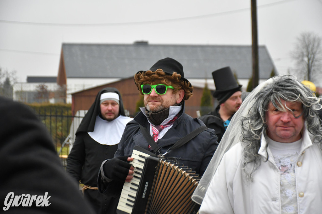 Z berem przez Miedary. Wodzenie niedźwiedzia 2026