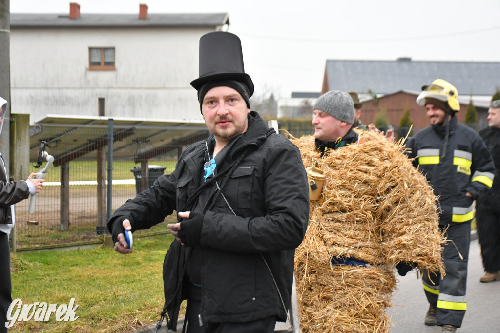Z berem przez Miedary. Wodzenie niedźwiedzia 2026