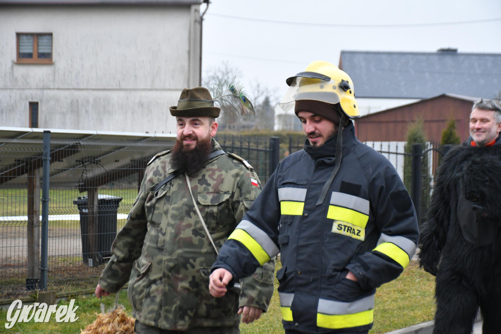Z berem przez Miedary. Wodzenie niedźwiedzia 2026