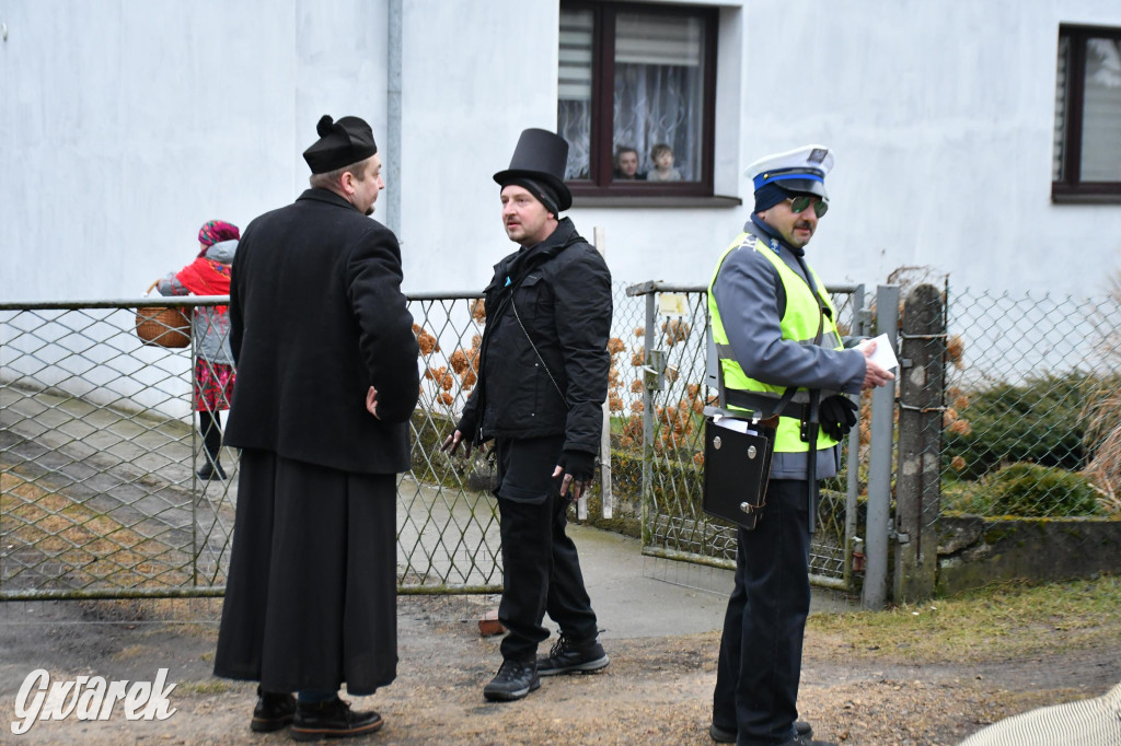Z berem przez Miedary. Wodzenie niedźwiedzia 2026
