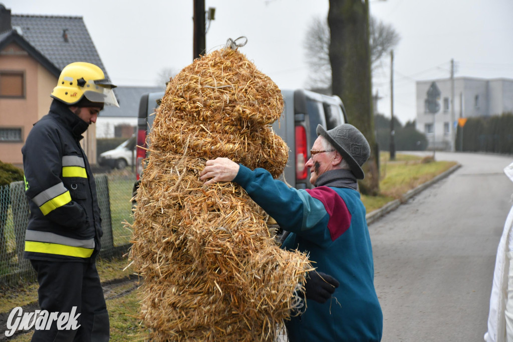 Z berem przez Miedary. Wodzenie niedźwiedzia 2026