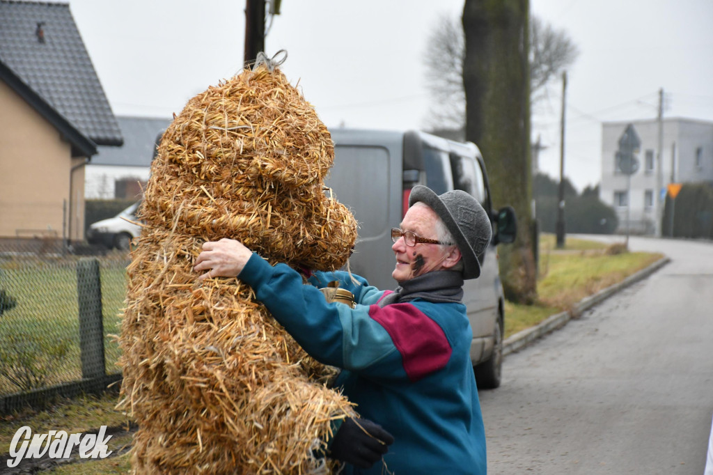 Z berem przez Miedary. Wodzenie niedźwiedzia 2026