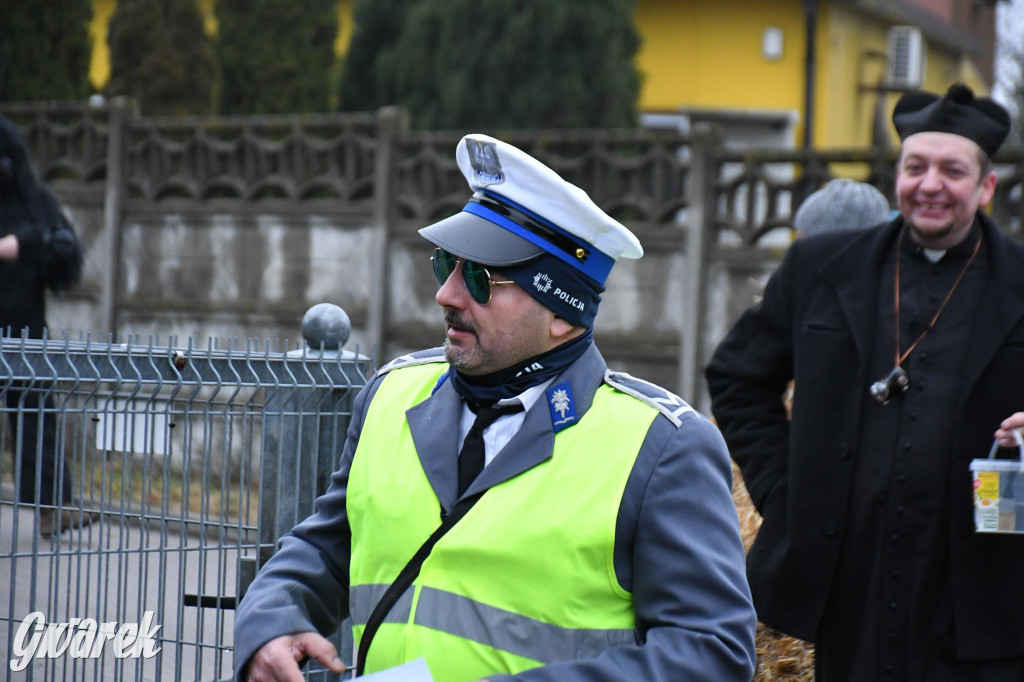 Z berem przez Miedary. Wodzenie niedźwiedzia 2026