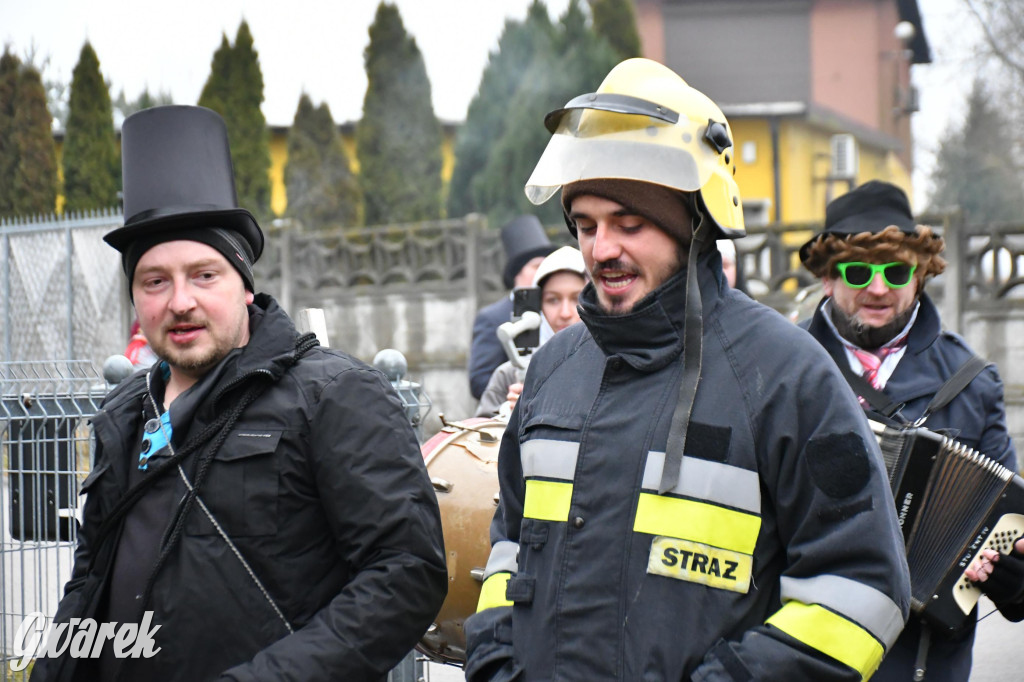 Z berem przez Miedary. Wodzenie niedźwiedzia 2026